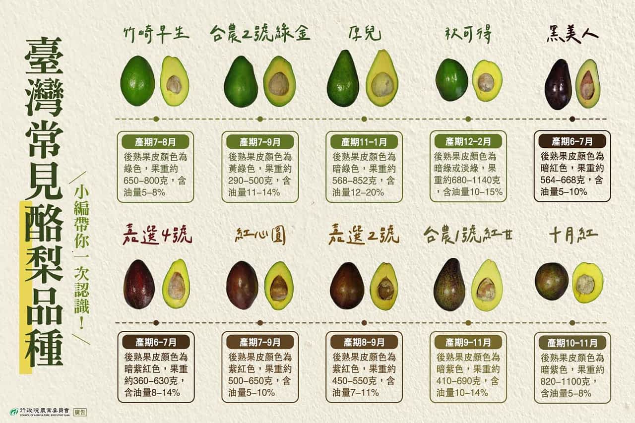 6种台湾酪梨品种、口感与产季总整理！最佳风味怎麽吃？「酪梨之乡」原来在这里